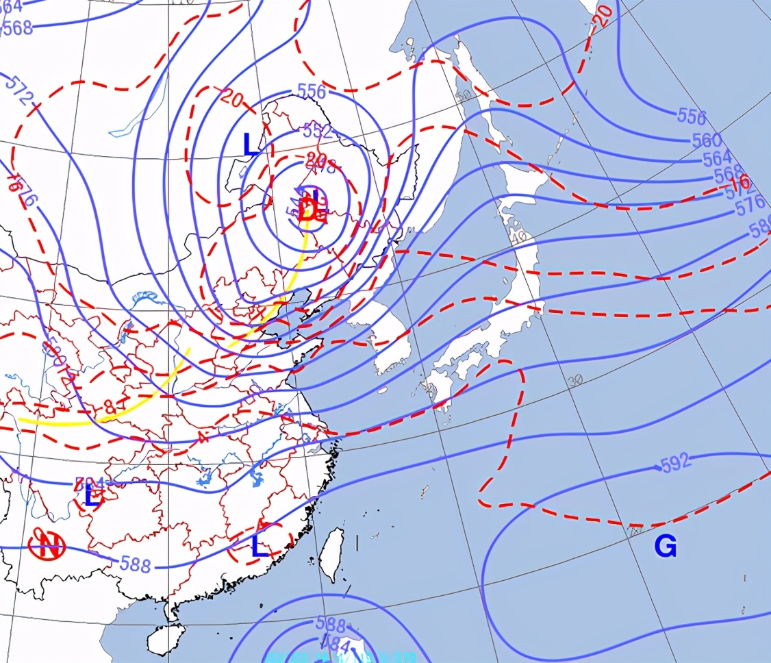 东北人,你认识东北冷涡吗?