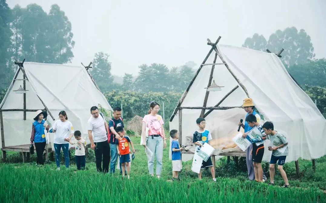 家庭农场,休闲农业植入"亲子"业态,如何与市场对接?五大技巧