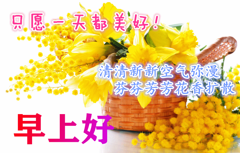 12月3日迎接12月,青春励志早安暖心祝福,致奋斗中的自己!
