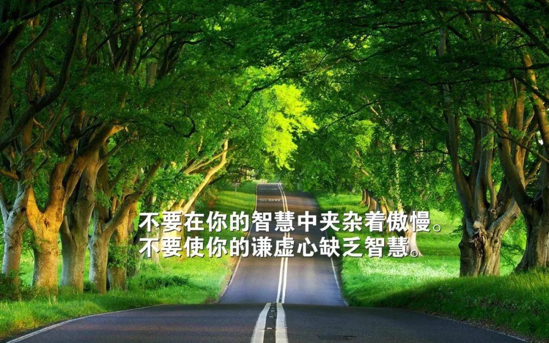 能激励自己的图片带字图片