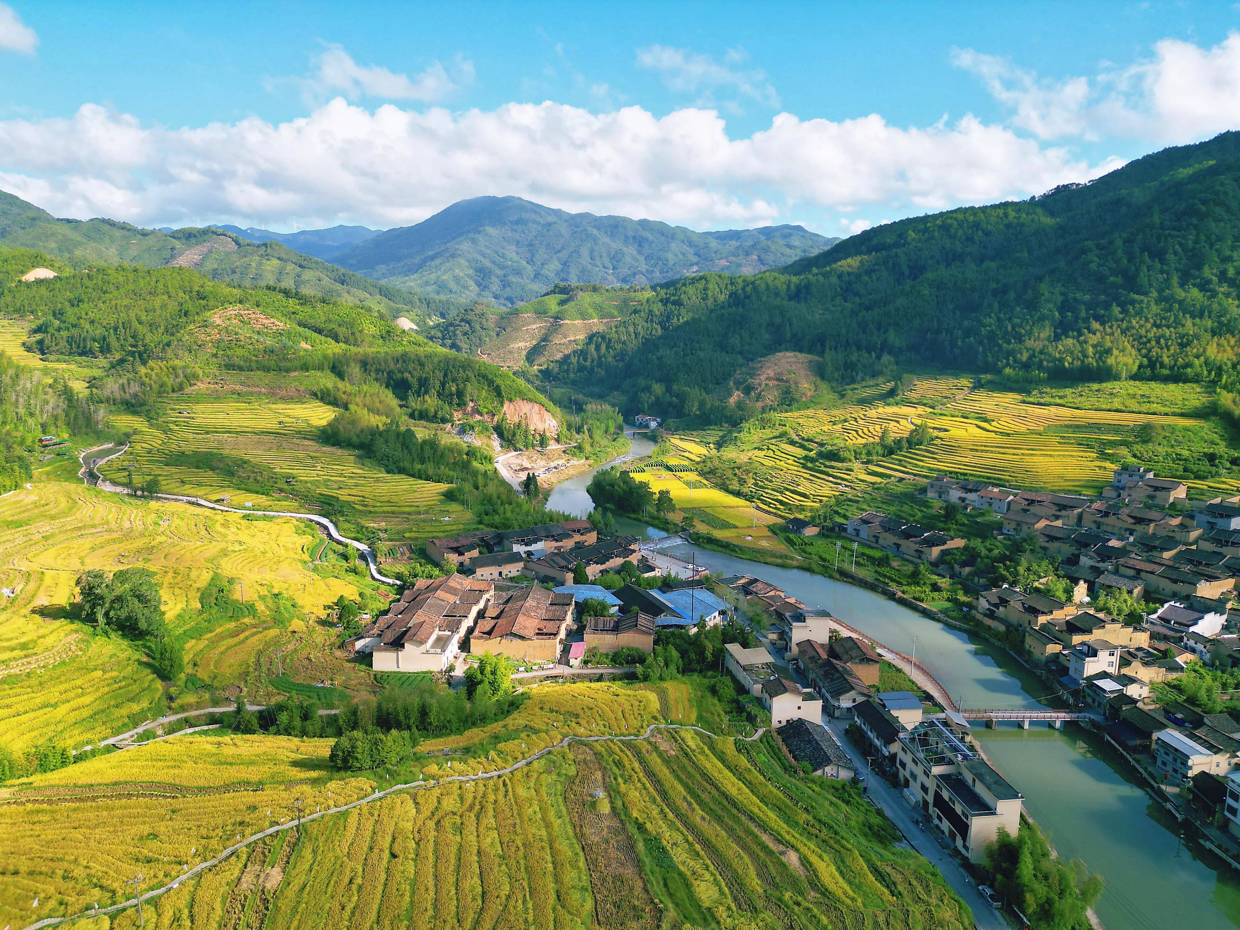 福建屏南柏源村|千亩梯田秋意正浓,共享丰收喜悦