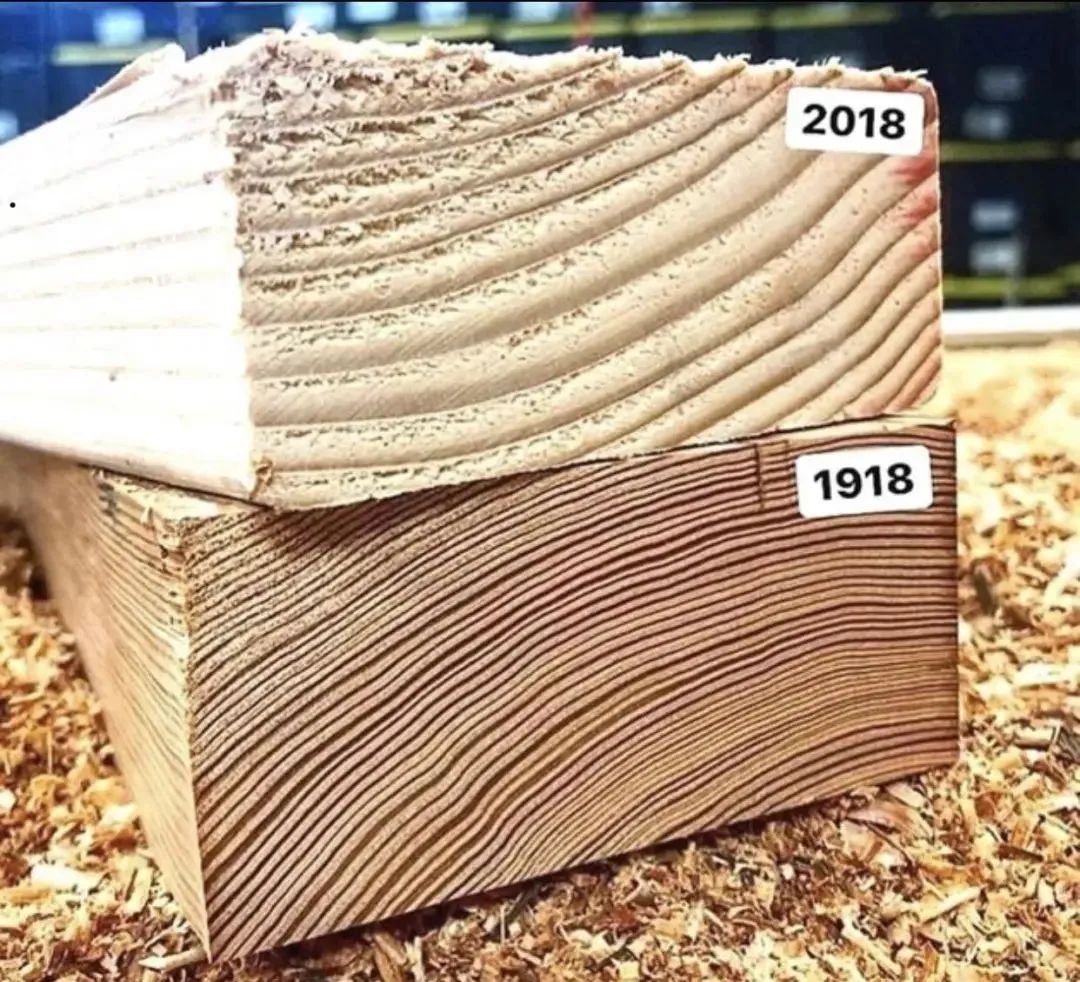38张对比照片展示同一事物惊人的变化