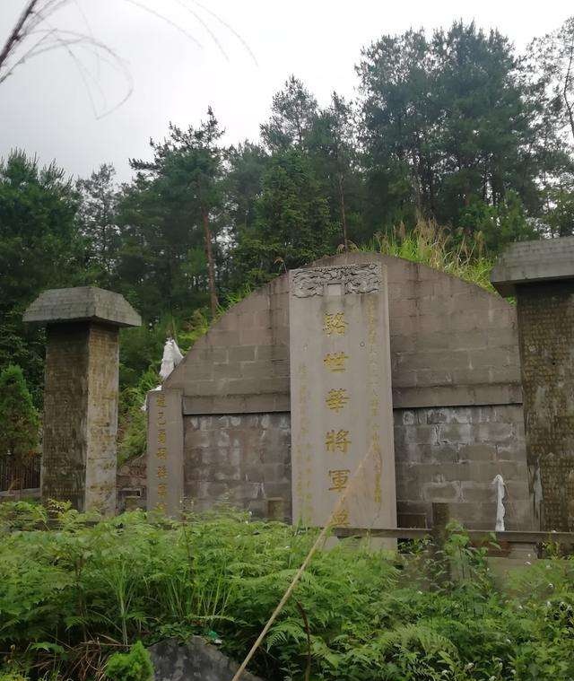 2014年贵州遵义出土一副黄金打造的棺椁,墓主竟是杨价夫妇