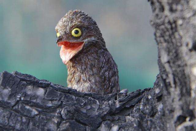 2019年,湖南村庄遇异兽,九头鸟现世叫声能把人带走,村民惶恐度日