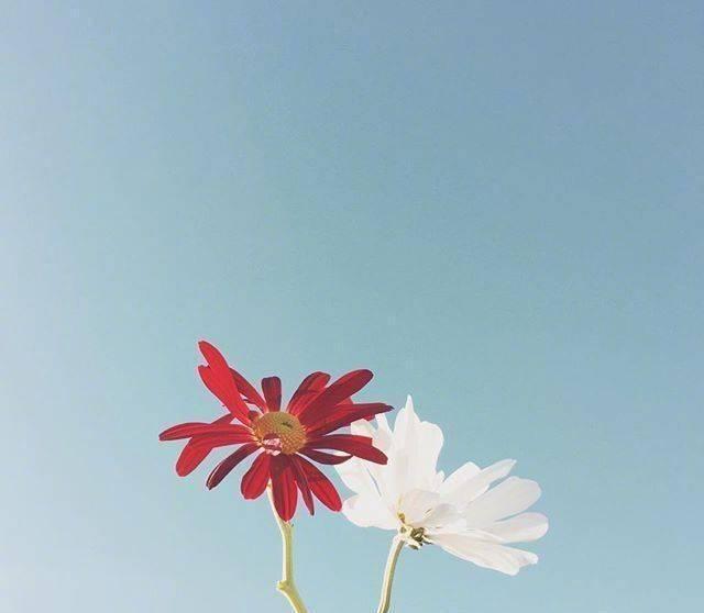 向往自由洒脱唯美句子