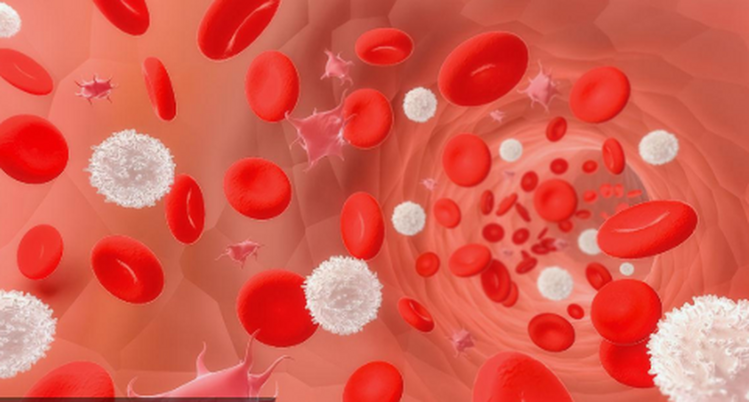 血液的奥秘:红白细胞和血小板的作用  血液,这个人体内最重要的流动