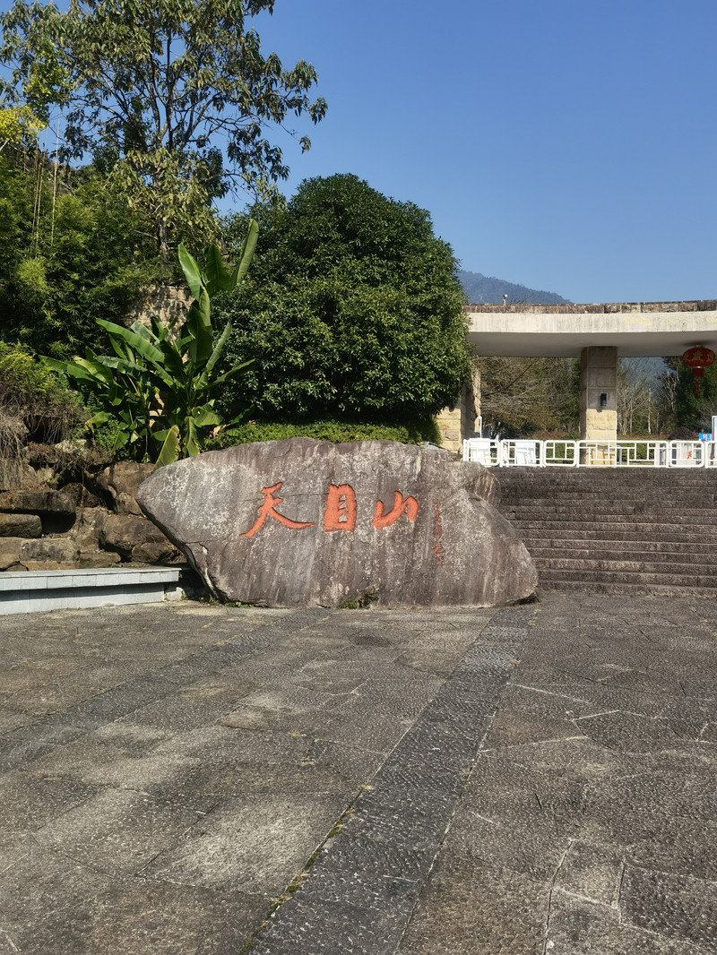 清新天地 大树王国——天目山一日游