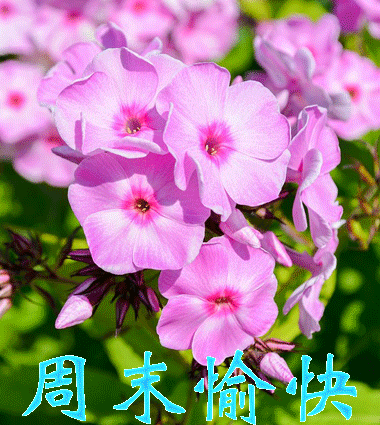适合周末发朋友圈的愉快文案 周末愉快图片正能量