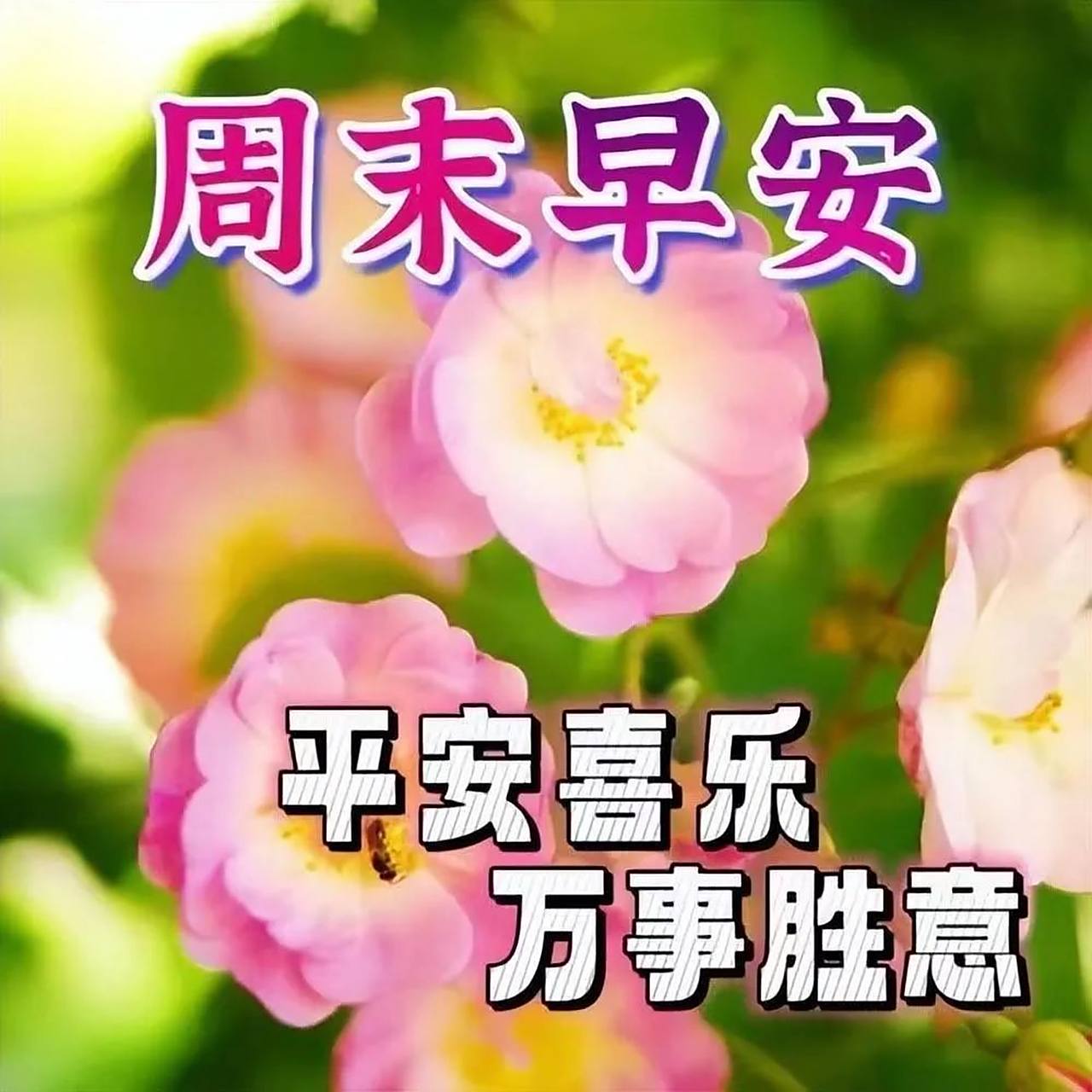 周末早上好唯美问候图片温馨祝福  93朋友们,周末愉快93  97