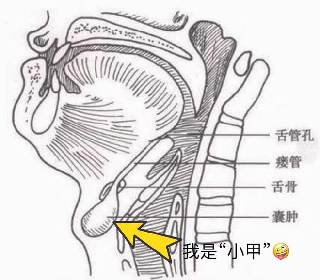 北京兒童醫院——甲狀舌管囊腫硬化治療訪談錄