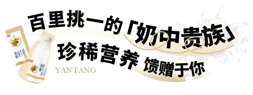 "奶界卷王"!百里挑一的「娟姗牛奶」
