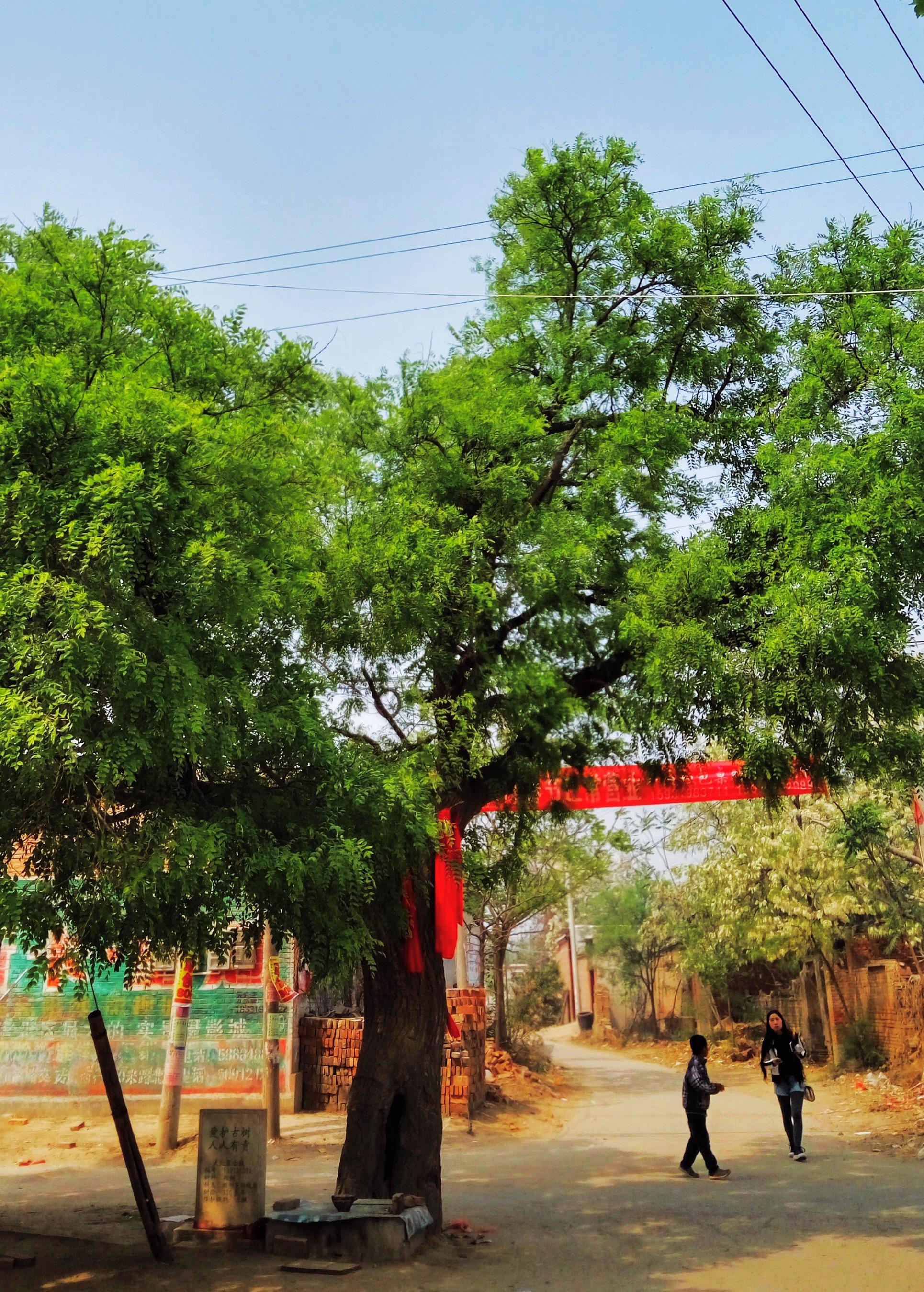 我马鬃留到了12岁,现在还有留马鬃的孩子吗?