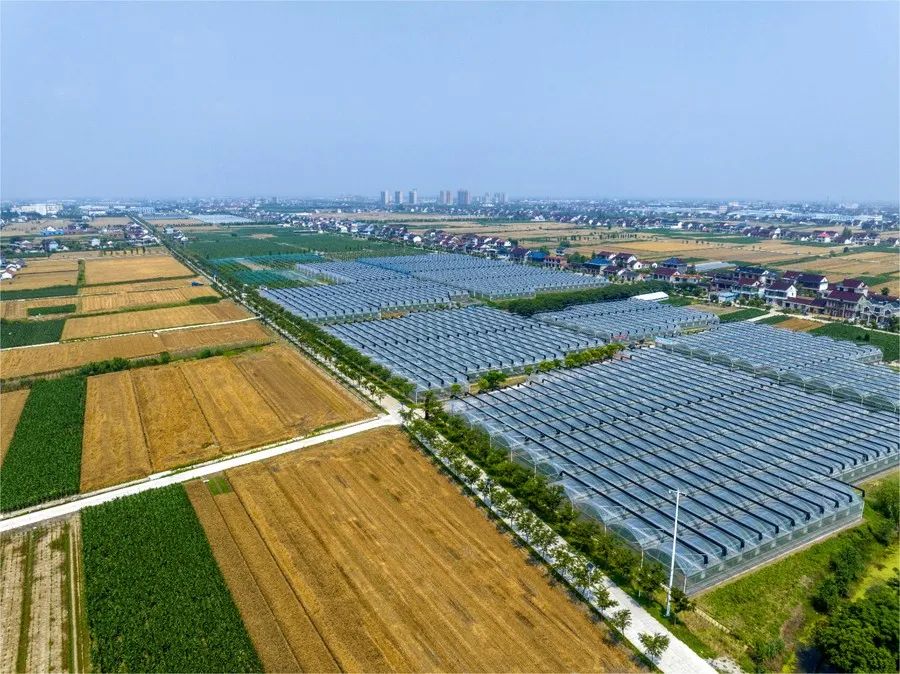 我为"四好农路"代言‖海安市李堡镇推介当地建设和管养经验