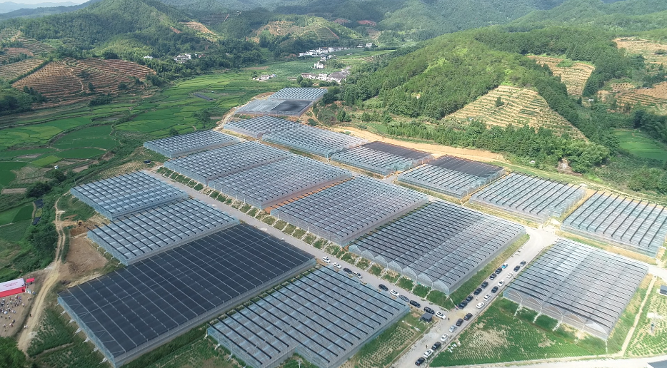 鹤子镇:一年一变样 三年大变样 五年焕新样