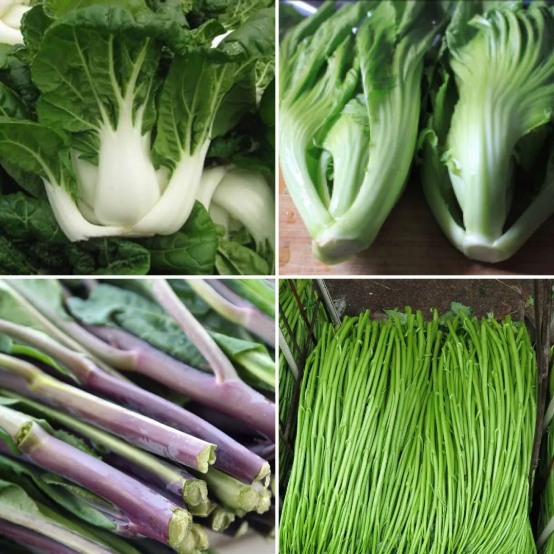 广东人爱吃青菜,真不是外地人说的穷