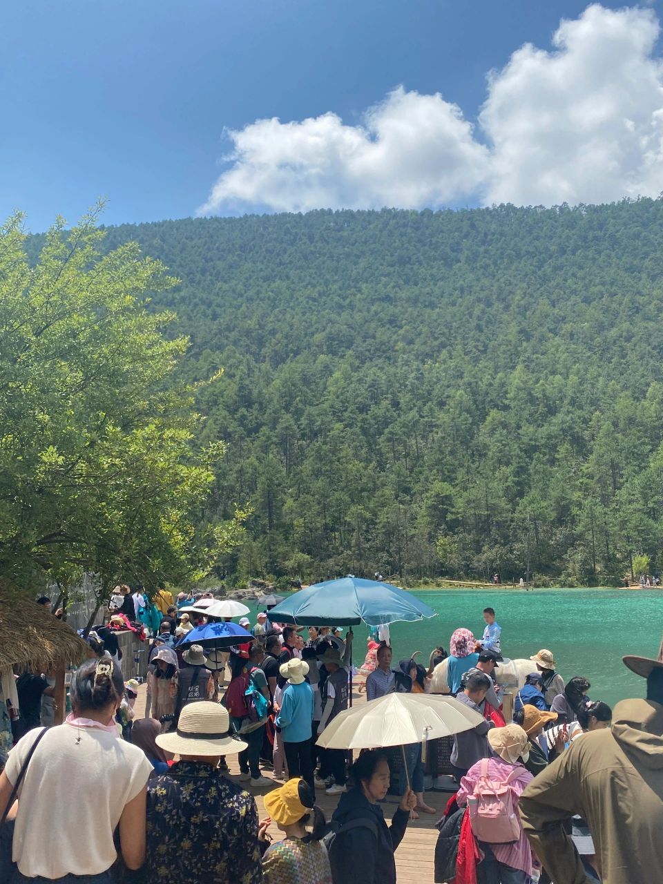 丽江天气实况·蓝月谷·8月16日下午·多云 【拍摄时间】8月16日14:54