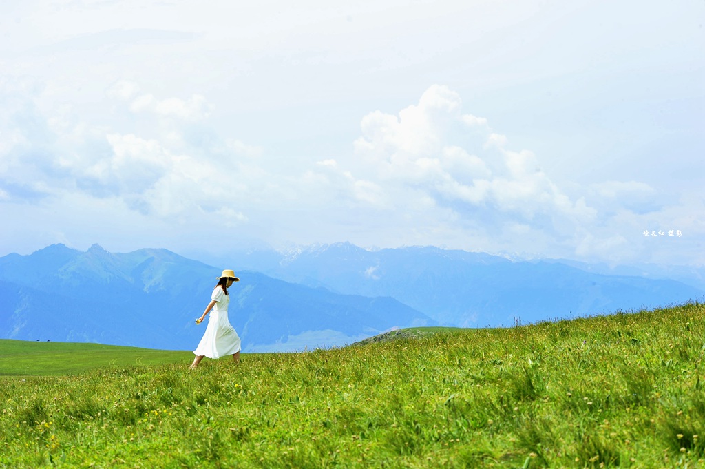 新疆薰衣草,喀拉峻美人背,赛里木湖,巴音布鲁克,吐鲁番,沙漠