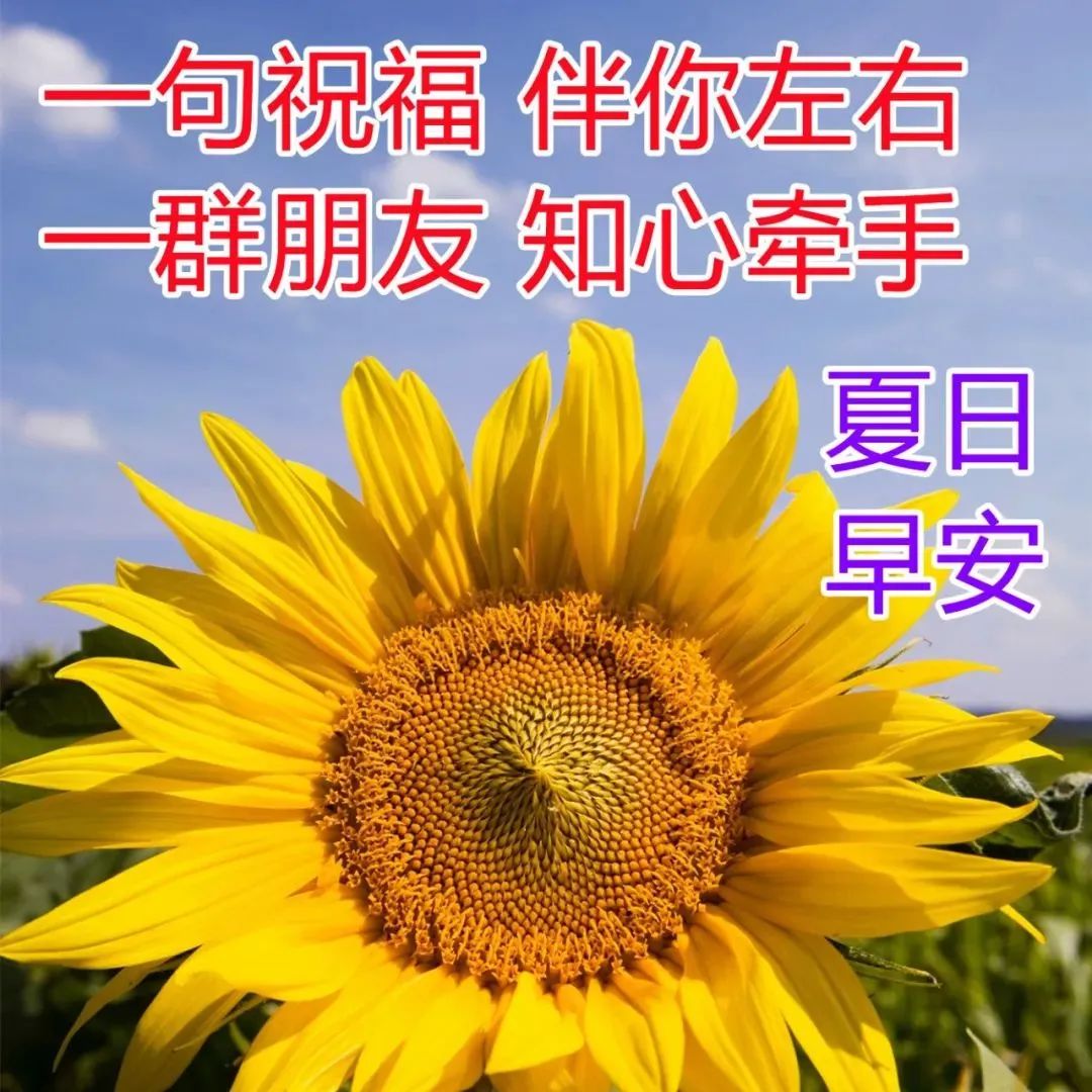 最美早安问候祝福图片 最新漂亮早上好图片