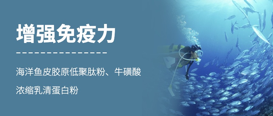 保健食品批文转让|牛磺酸海洋鱼低聚肽粉(增强免疫力)