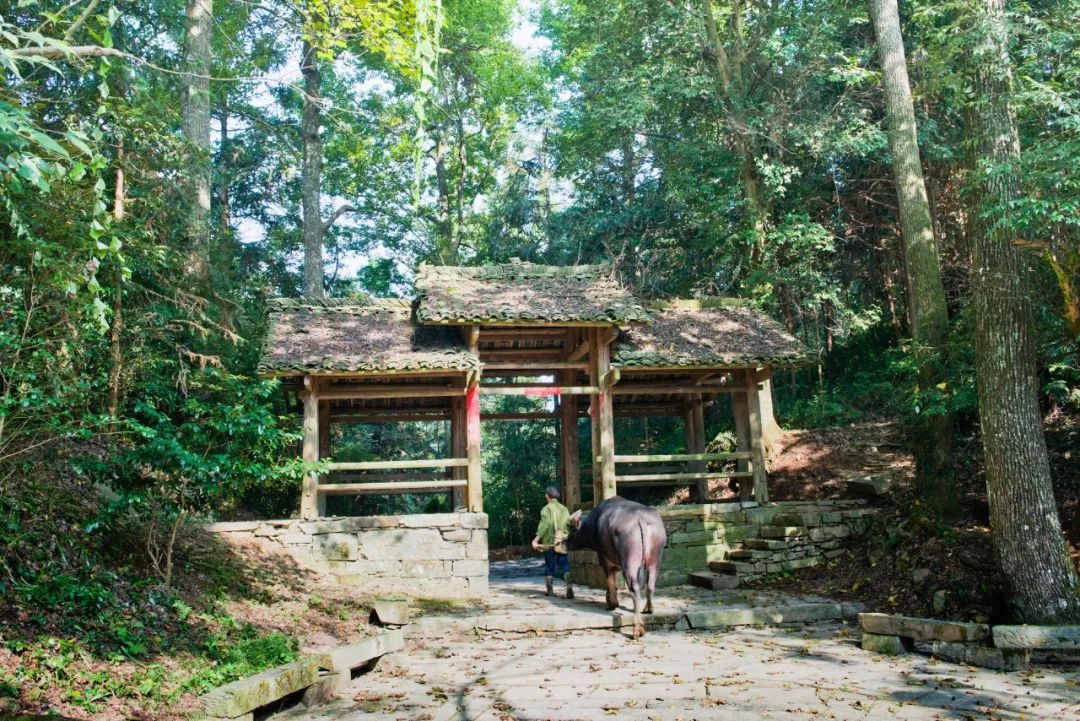 新春旅行,去文斗苗寨体验全国首家 "氢康养民宿" 吧