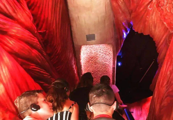 荷兰"重口味"博物馆,内部人体结构逼真,女游客惊恐不敢看