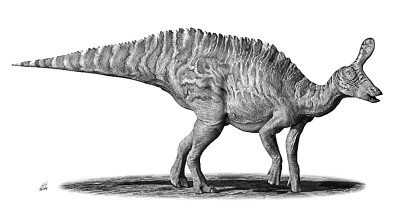 龙年将至说恐龙:中国恐龙"大明星"是谁?"五宝" "新f4"