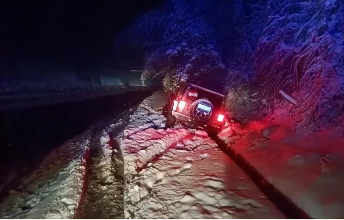 东北肢体雪人案件图片