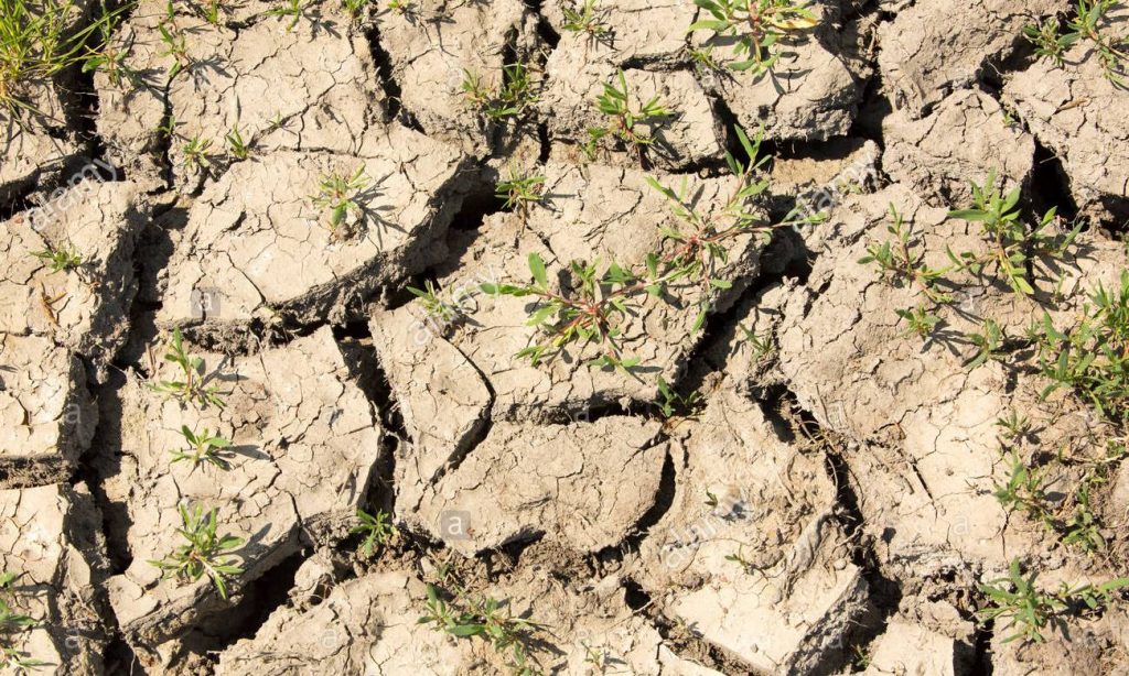 变疏松的最佳方法