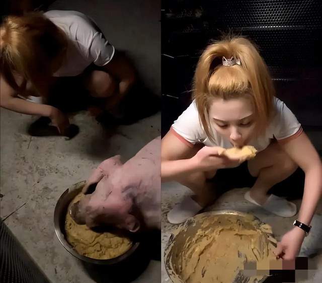 千万女网红"琪儿"在和另外一位网红打pk的时候,吃猪食给猪下跪