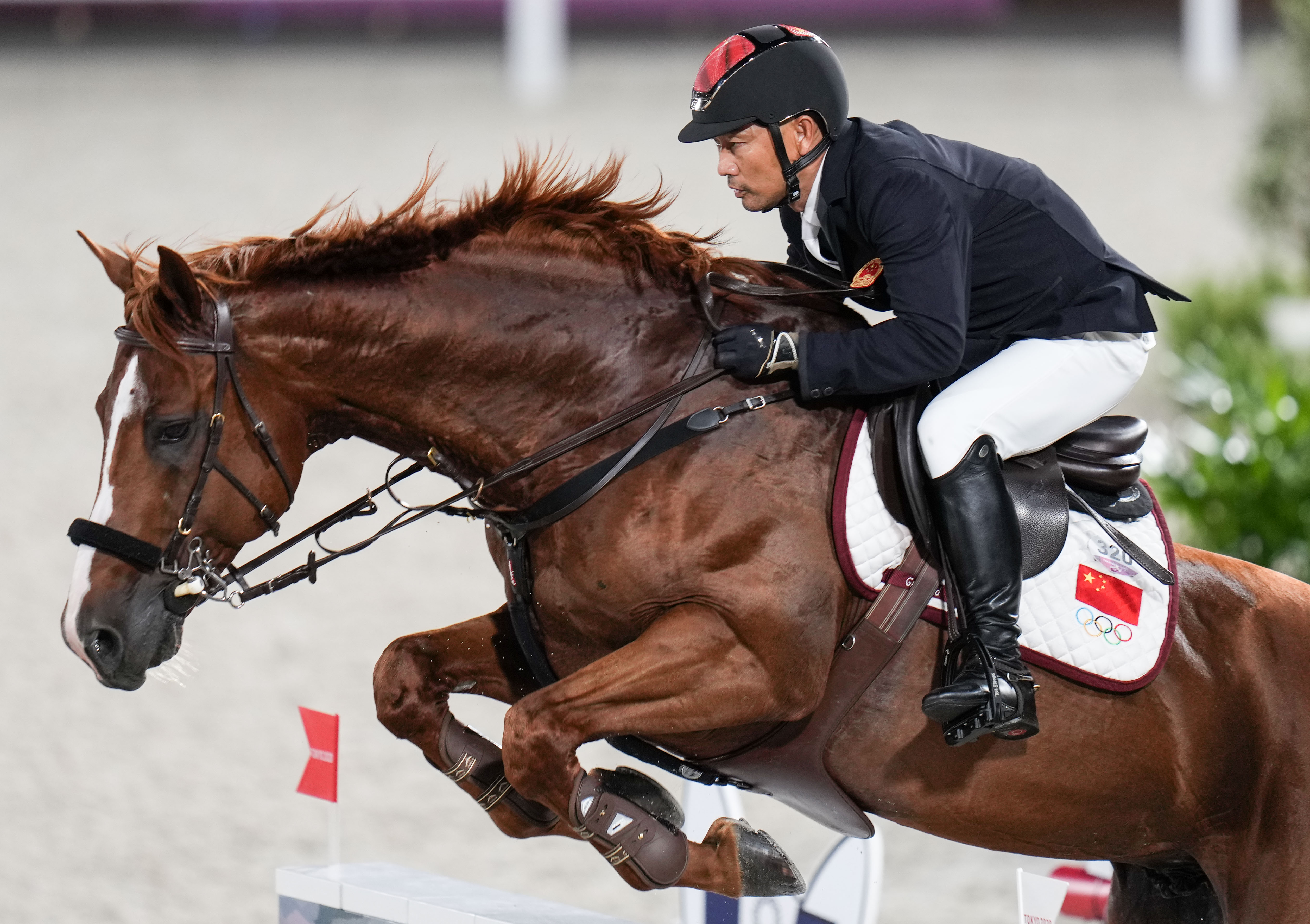 马术——上阵父子兵(4)