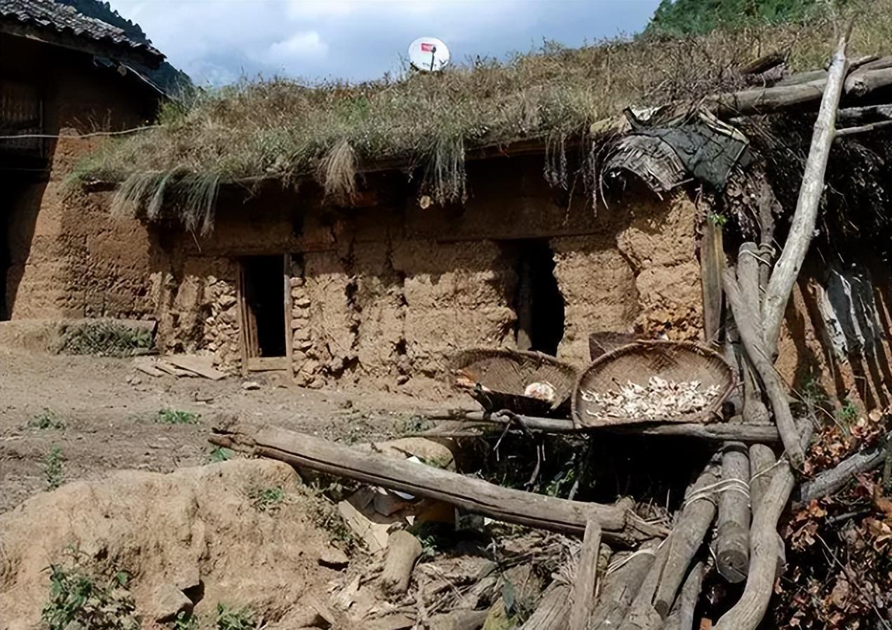 回顾"女贪虎"张双娥:利用职位大肆敛财,京沪拥有36套豪宅