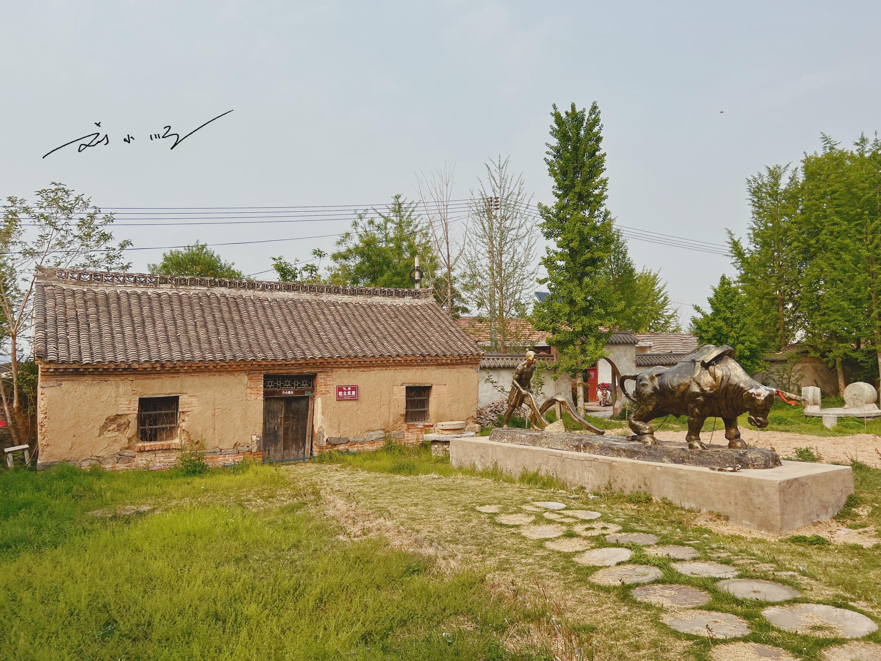 砀山旅游景点图片