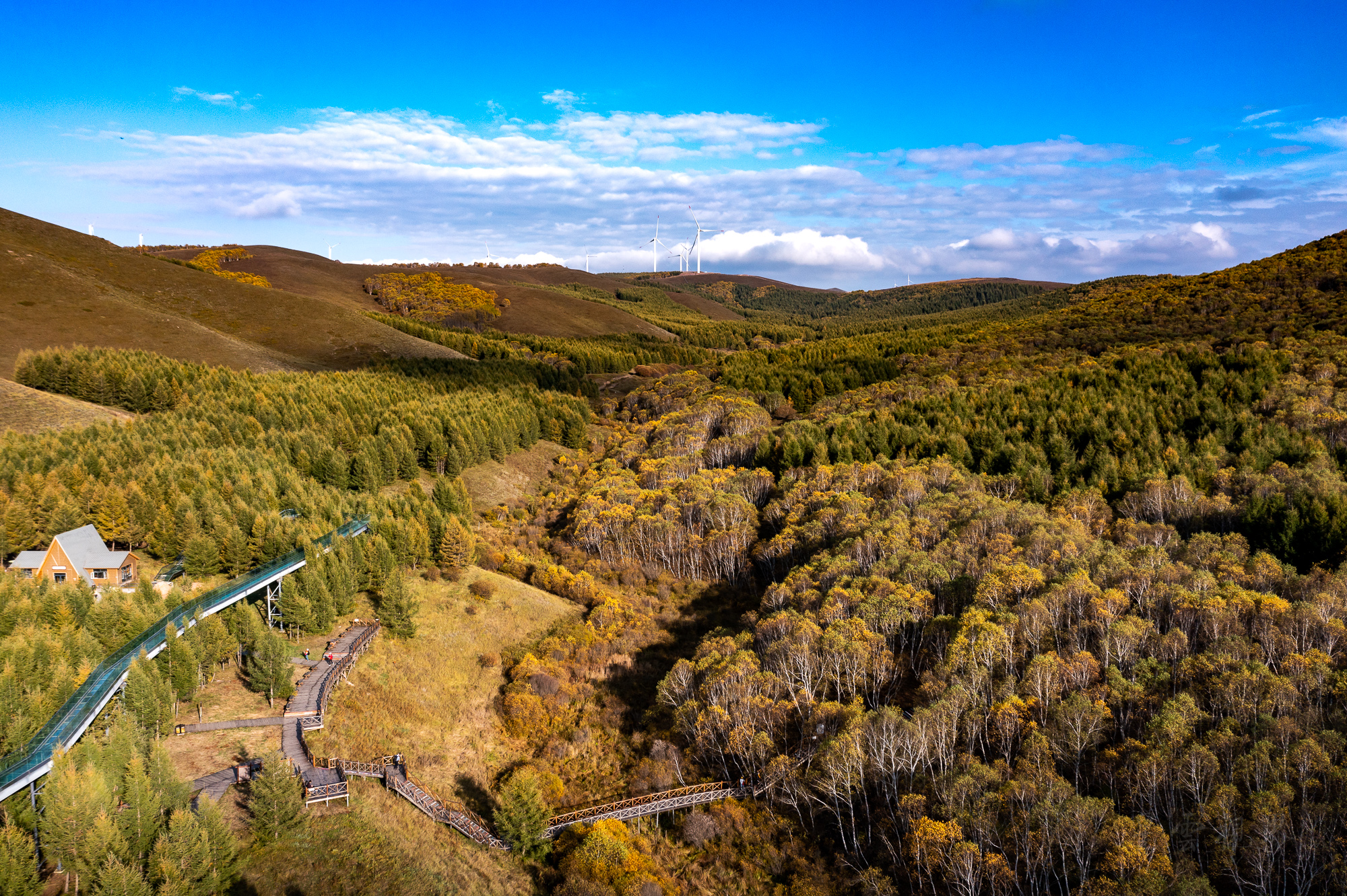 丰宁坝上七彩森林金秋时节七彩斑斓 北京国庆假日出游首选地