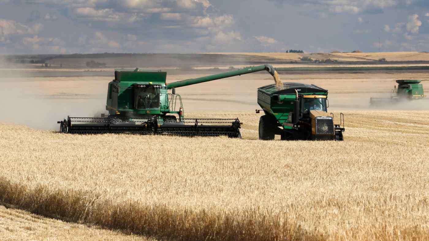 中国对澳大利亚大麦征收的关税,重塑了全球贸易