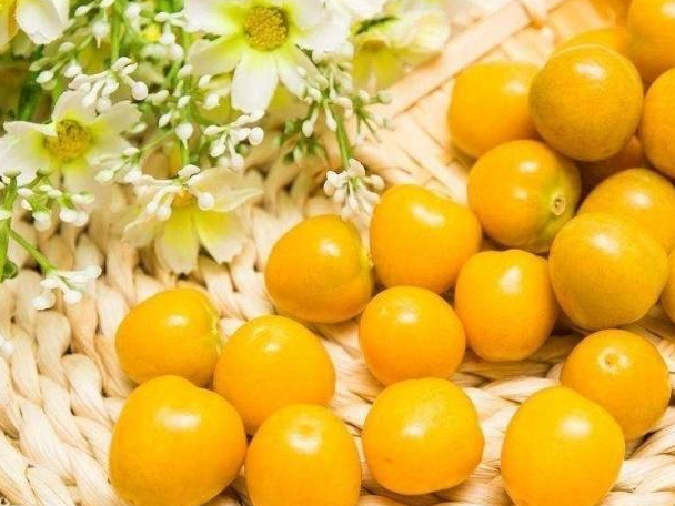 小时候经常捡拾的香泡泡,竟然用途这么广,可惜许多人不知道