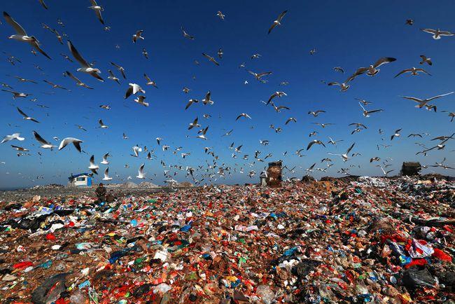 美国卫星发现新异象?一片海上"陆地"正逼近中国,堪比3个日本