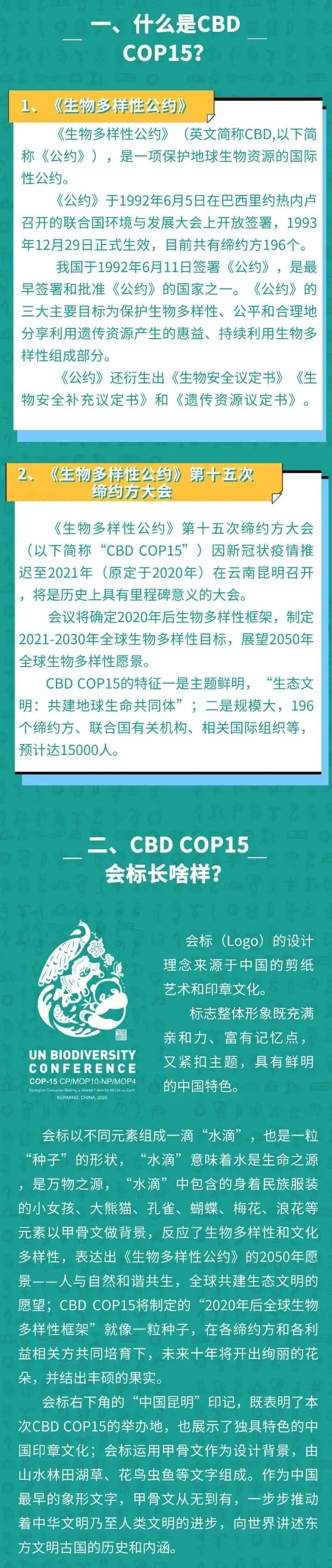 昆明cop15海报图片