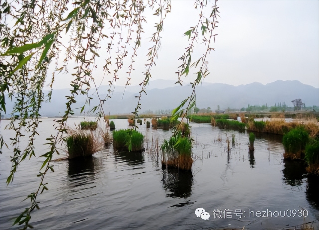 美图|永靖县太极岛湿地乐园