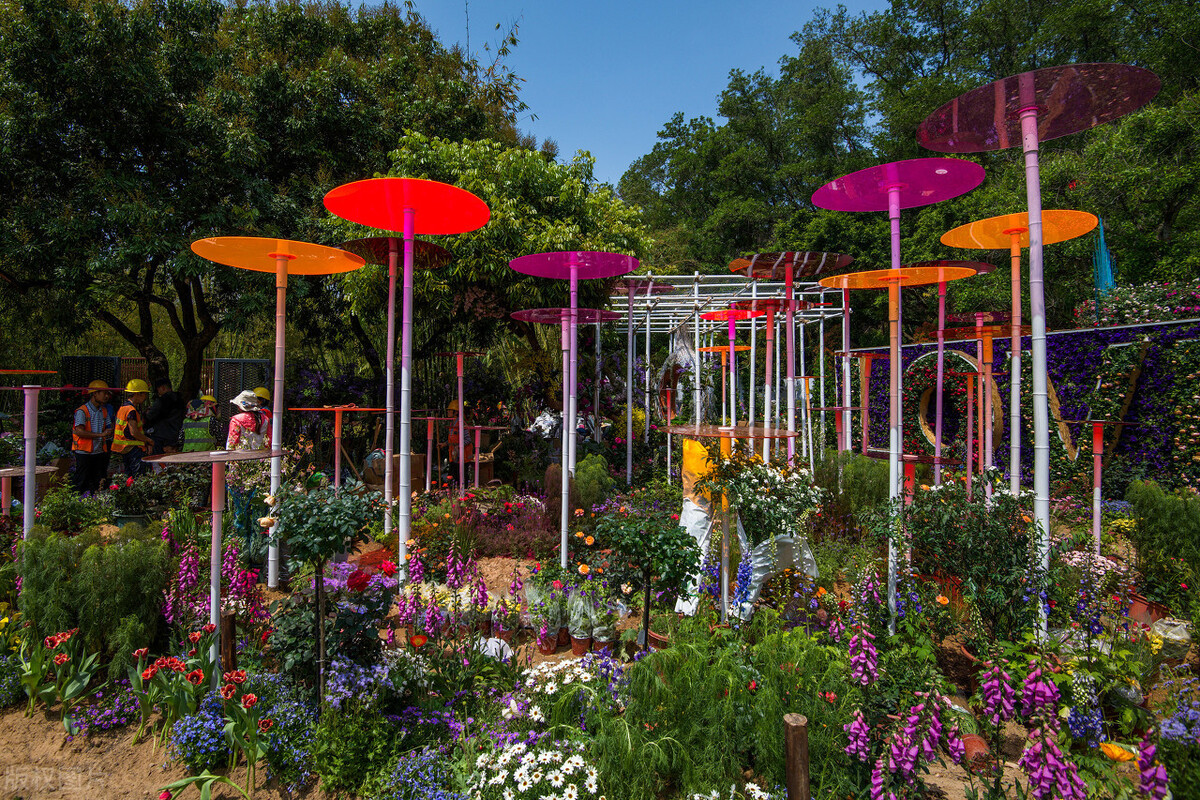 深圳,2021粤港澳大湾区深圳花展即将在深圳仙湖植物园拉开帷幕