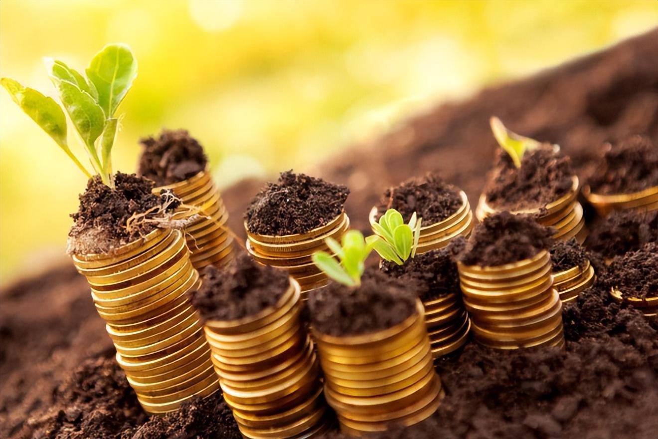 纪实:最美翘臀局长刘光明,靠屁股上位,花50万美容翘臀