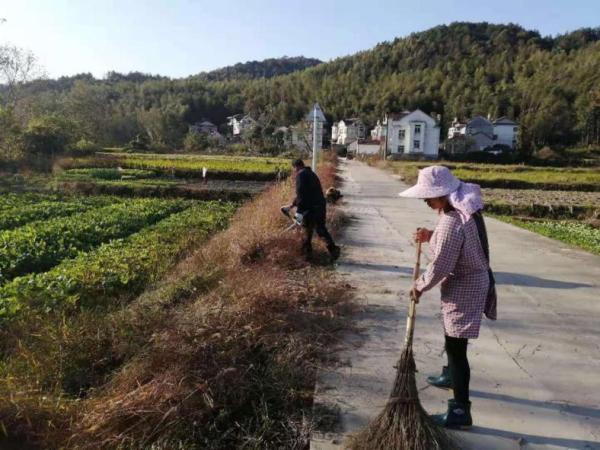 庐江县龙桥镇:"建管养护"做好"四好"农村路