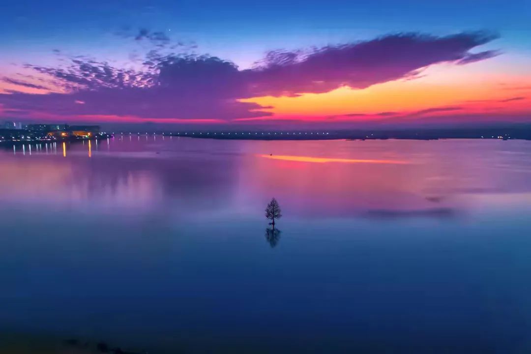 超美!每张都是推介襄阳的精美名片!