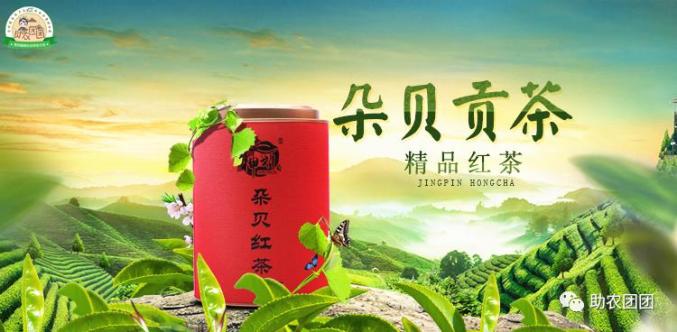 助农团团丨茶叶产业巡礼:普定朵贝茶,延续数百年的古茶香