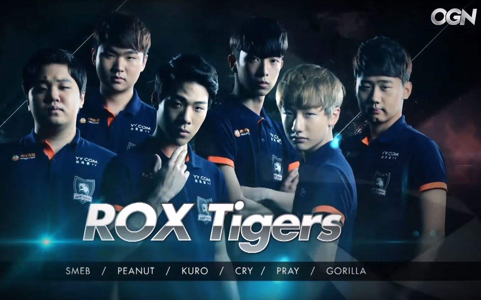 roxtiger图片