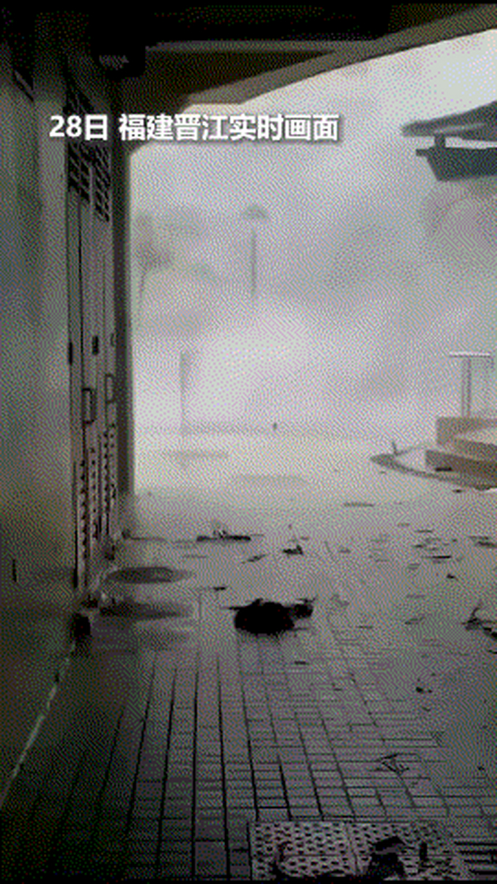 实拍晋江风雨 狂风呼啸场面震撼#台风"杜苏芮"在福建晋江沿海登陆