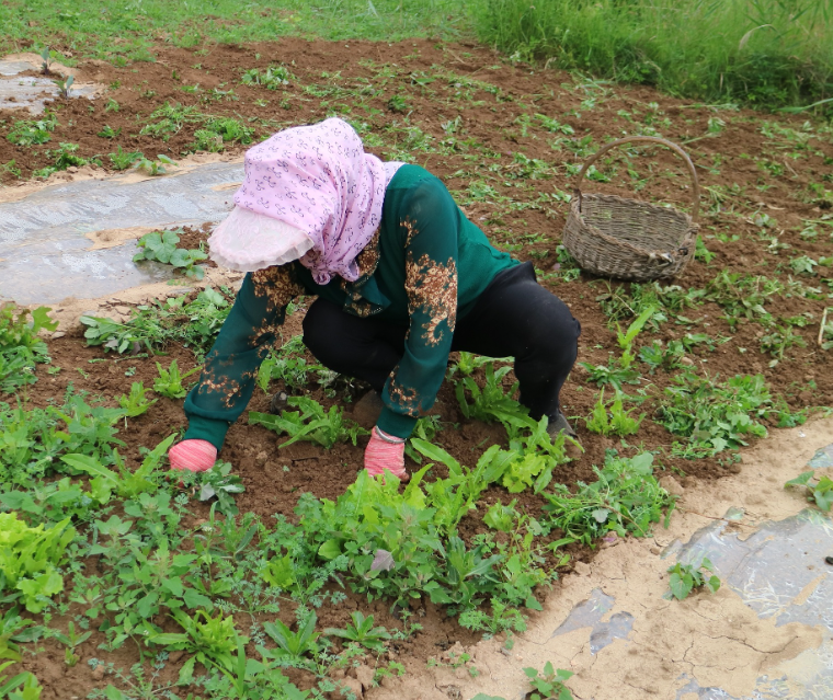 13年女子坐10年冤狱致残,被释放后却发现判决是2年前的,咋回事