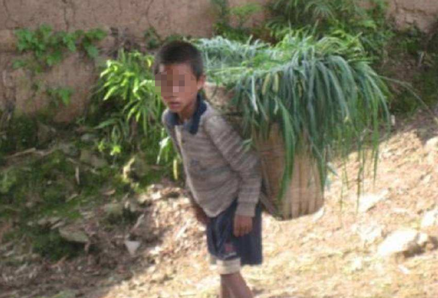 一,初中被打辍学,开始练武生涯