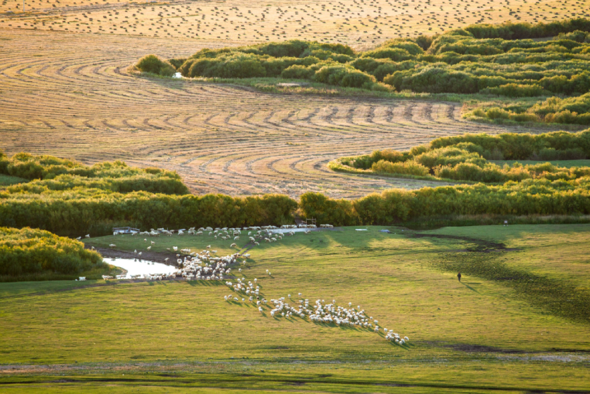 旷野天低水清云近微风吹过走在草地上幽幽的草香扑面而来