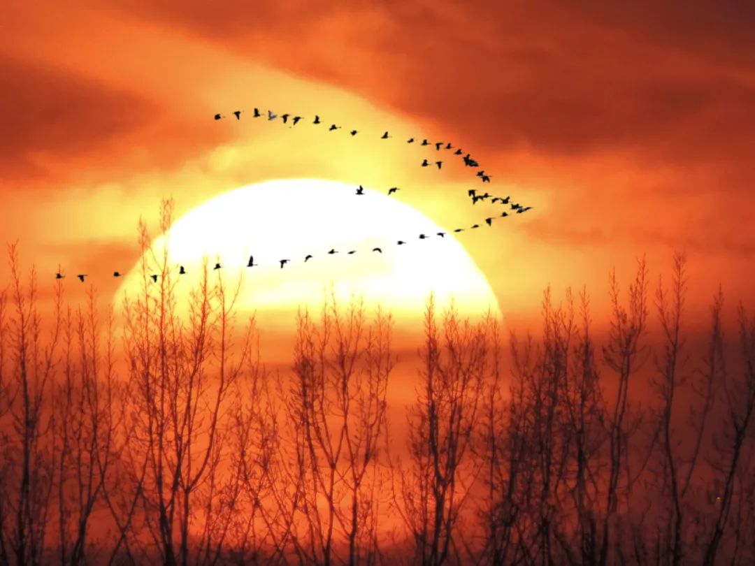 九月,许你一个最美的秋