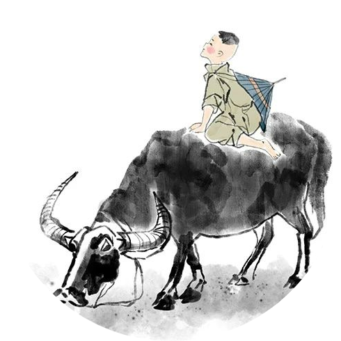 听着"小放牛"长大的雪花梨